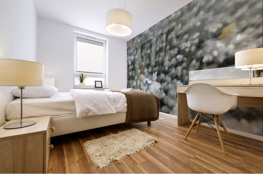 BURST - MIST Mural print