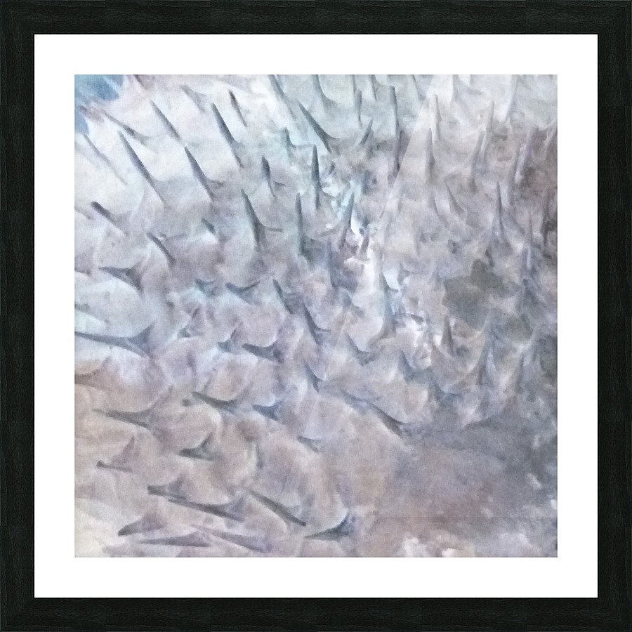 CURIOSITY - WHITE Picture Frame print