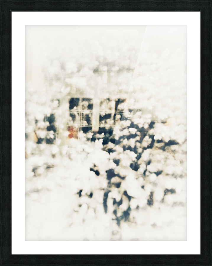 BURST - LIGHT Picture Frame print