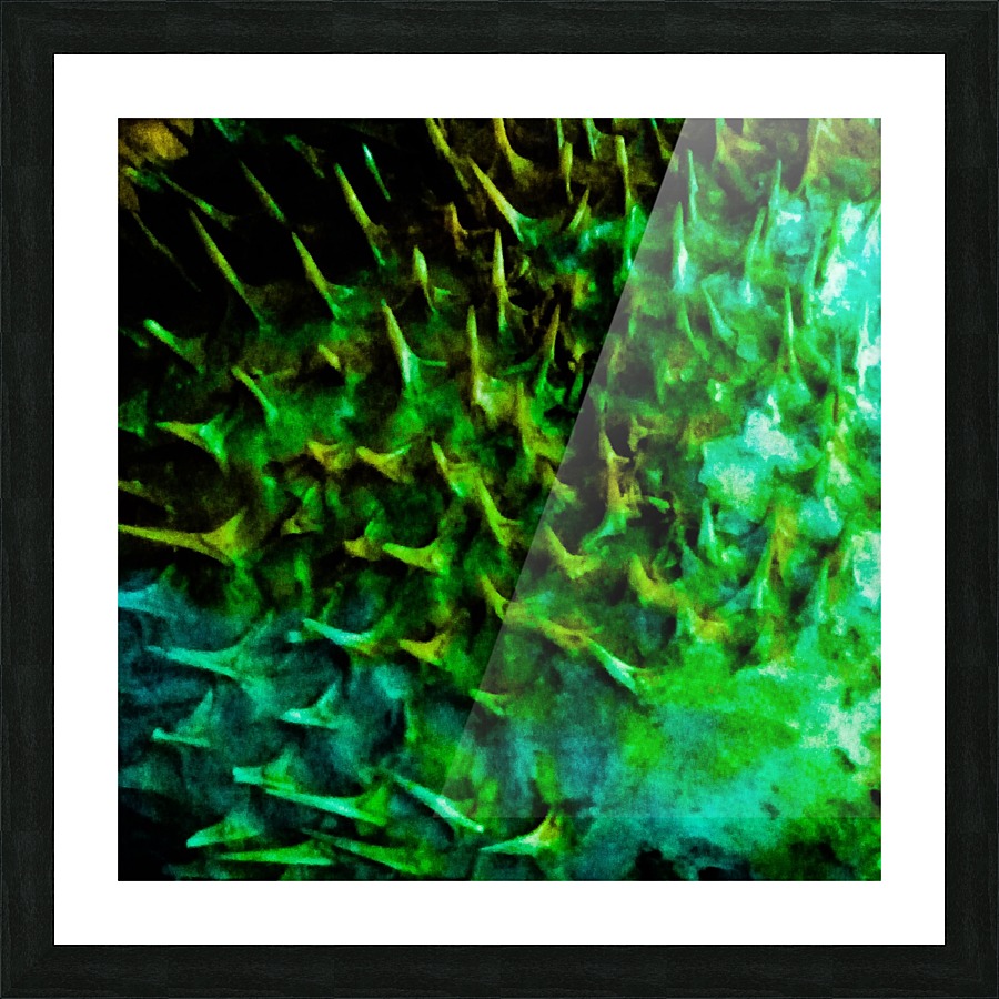 CURIOSITY - GREEN Picture Frame print