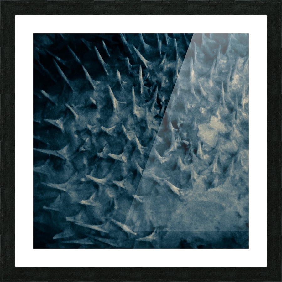 CURIOSITY - TEAL Picture Frame print