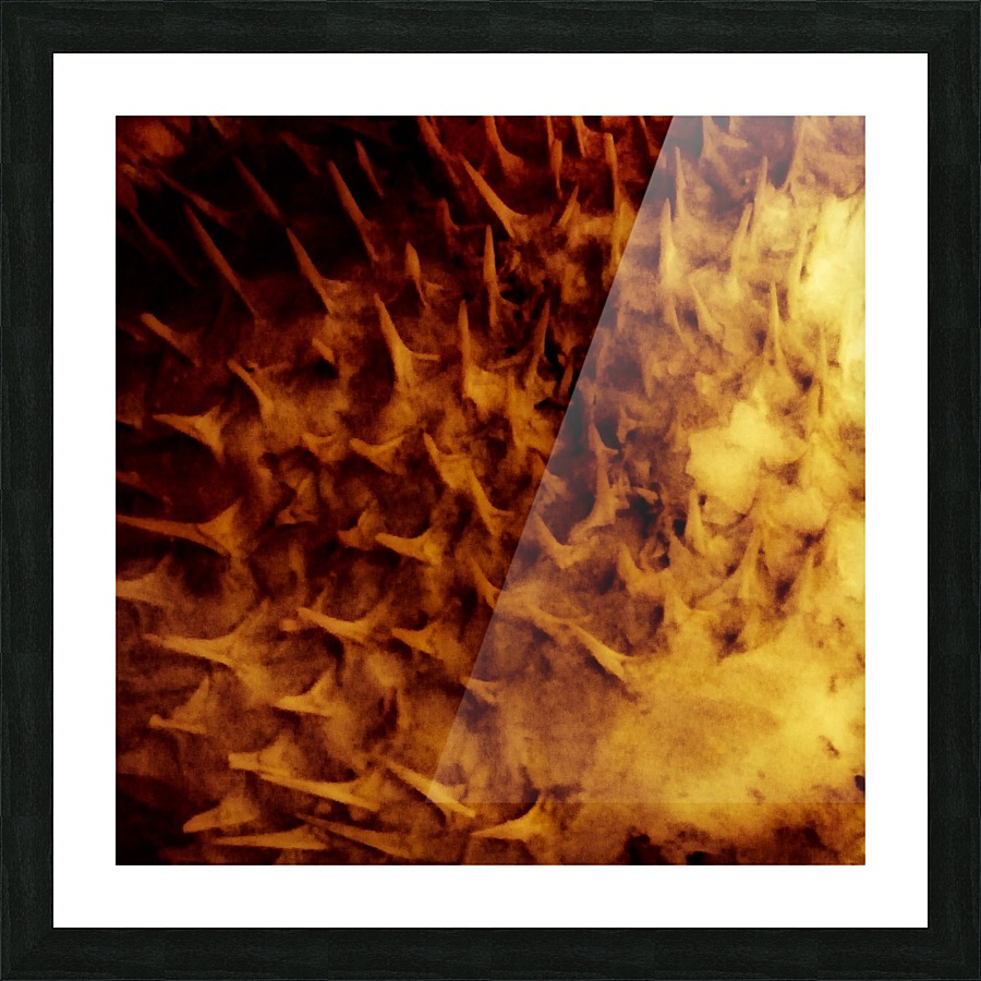 CURIOSITY - ORANGE Picture Frame print