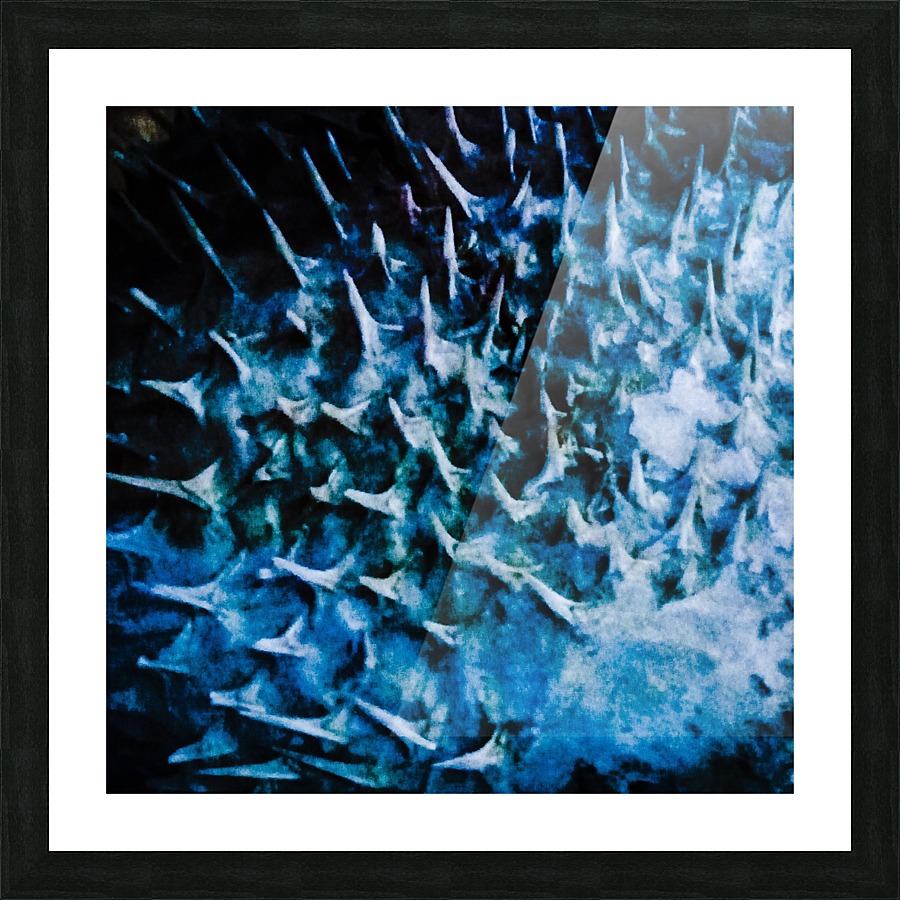 CURIOSITY - BLUE Picture Frame print
