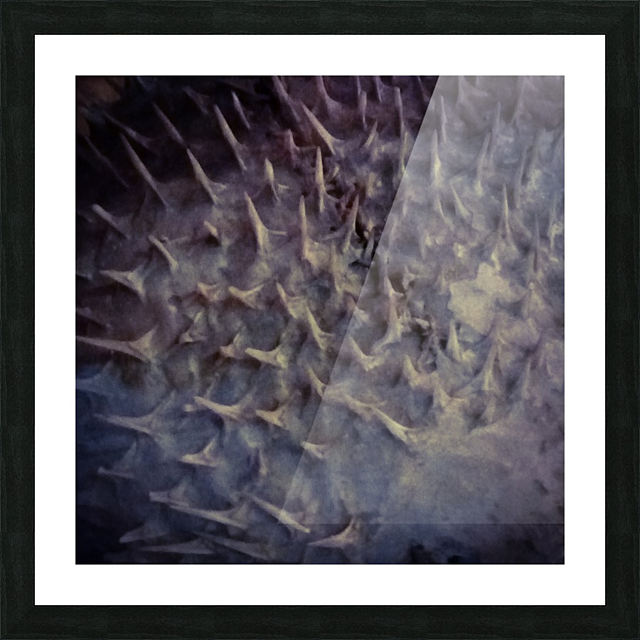 CURIOSITY - GRAY Picture Frame print