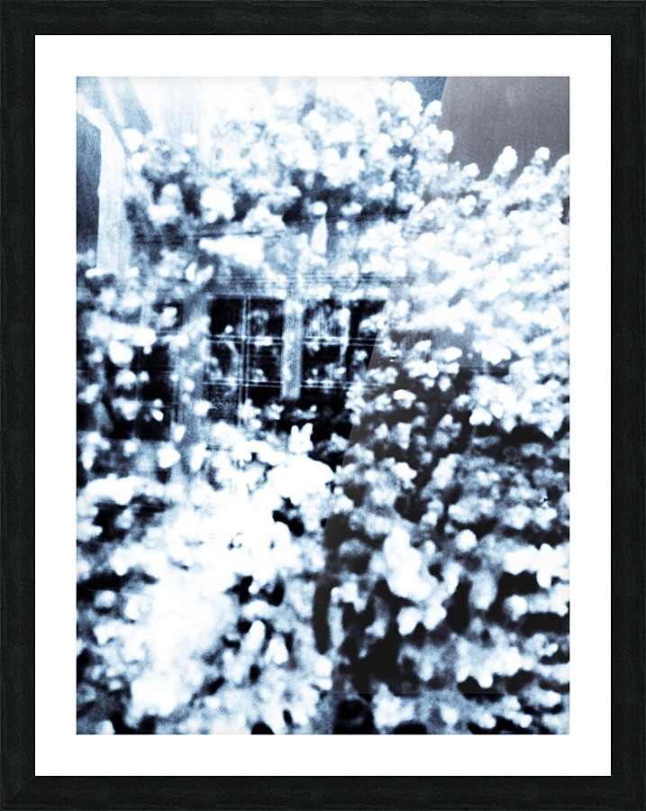 BURST - INVERTED Picture Frame print