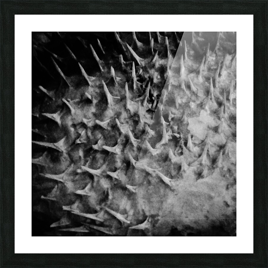 CURIOSITY - DARK Picture Frame print
