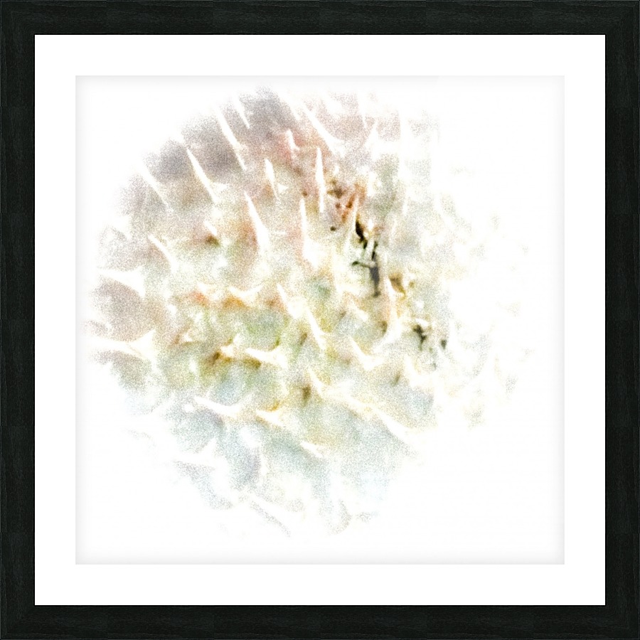 CURIOSITY - LIGHT Picture Frame print
