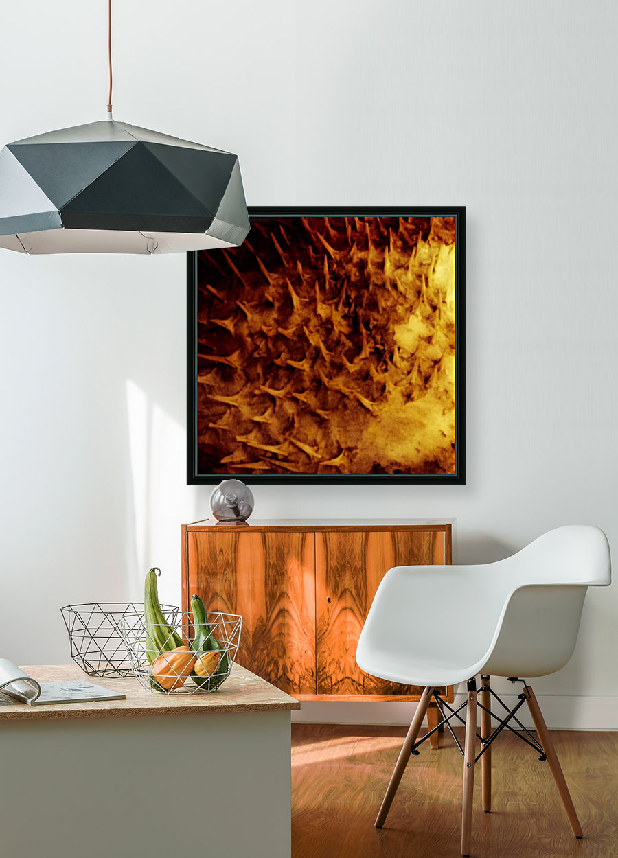 CURIOSITY - ORANGE Reproduction