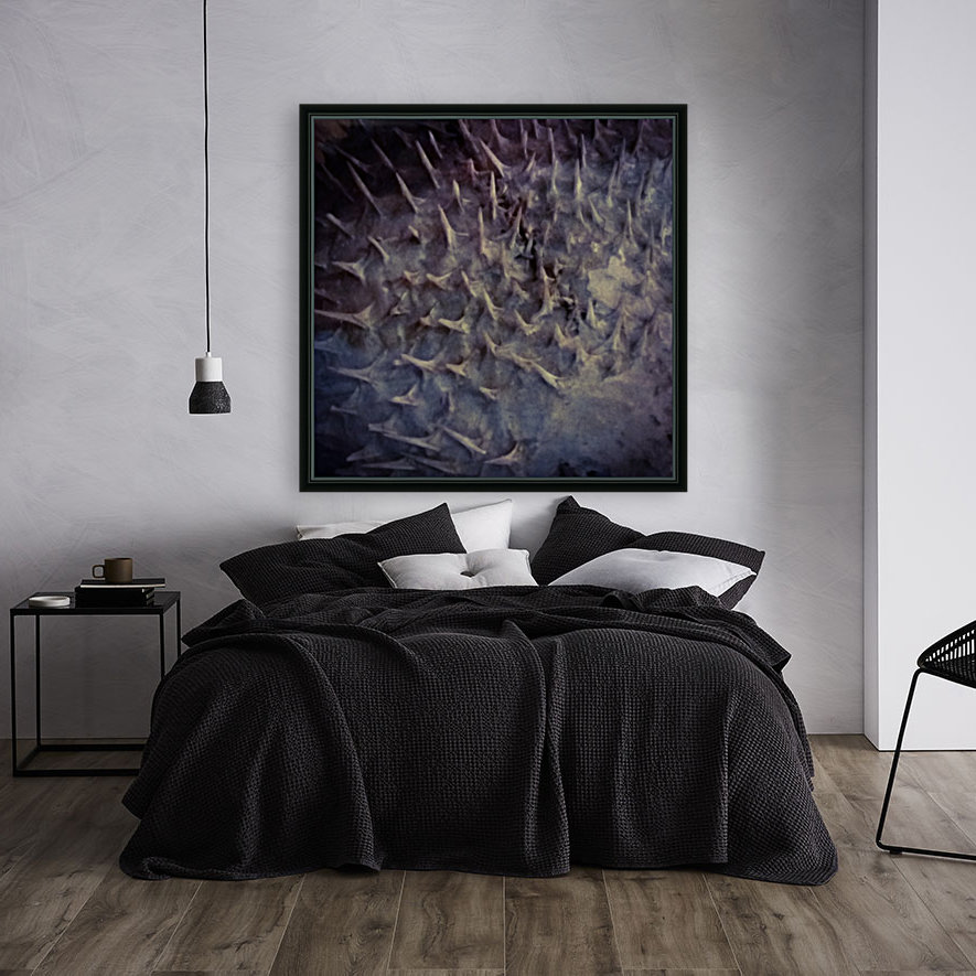 CURIOSITY - GRAY Reproduction