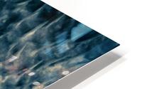 CURIOSITY - TEAL HD Metal print