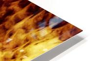 CURIOSITY - ORANGE HD Metal print