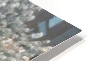 BURST - MIST HD Metal print