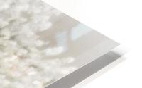 BURST - GRAY TONE HD Metal print