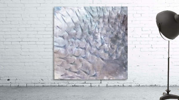 CURIOSITY - WHITE Wall Preview