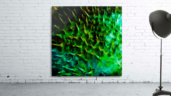 CURIOSITY - GREEN Wall Preview