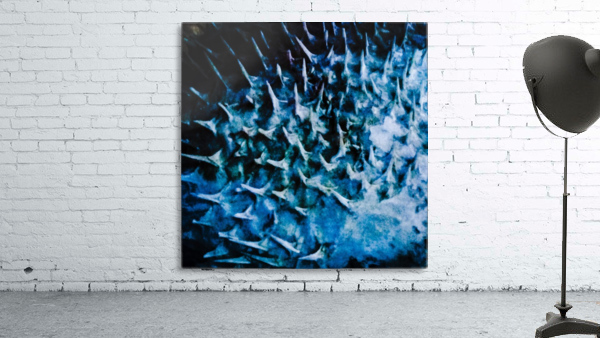 CURIOSITY - BLUE Wall Preview