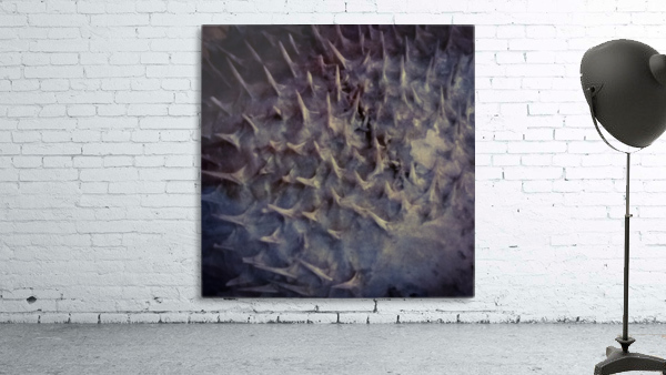 CURIOSITY - GRAY Wall Preview