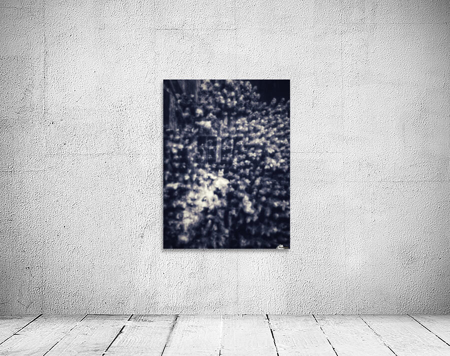 BURST - DARK Wall Preview