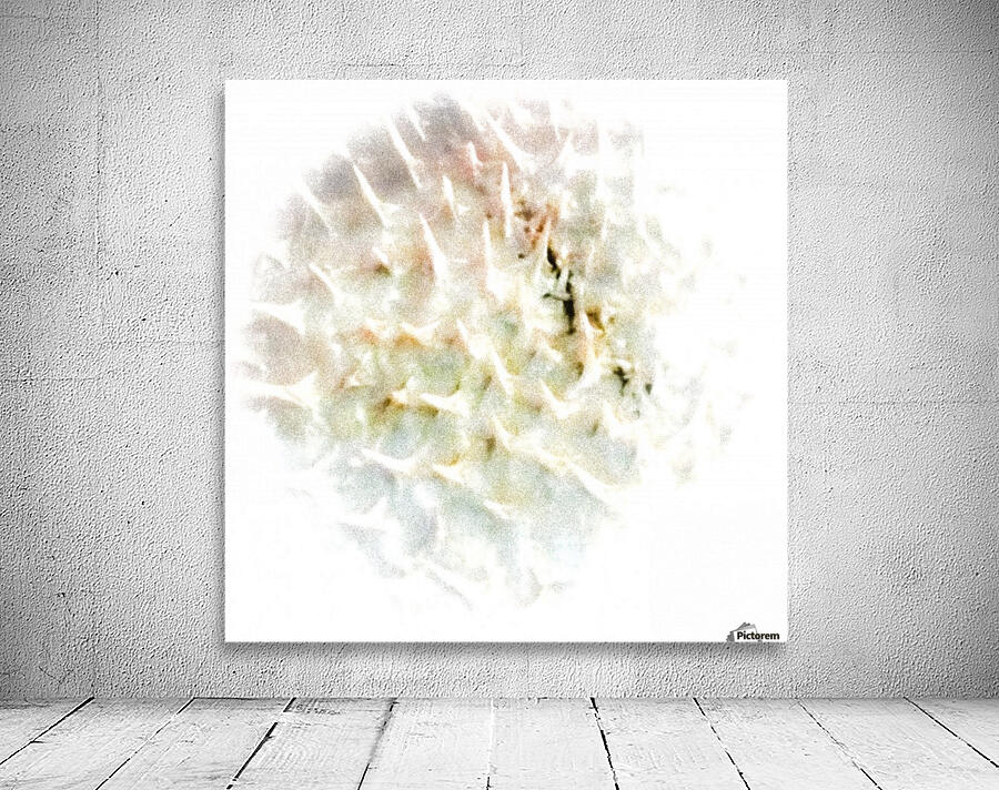 CURIOSITY - LIGHT Wall Preview