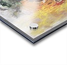 Irreversible Acrylic print