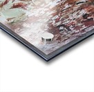 The camarilla Acrylic print