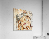 Samara Acrylic Print