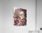 Poccina II Acrylic Print