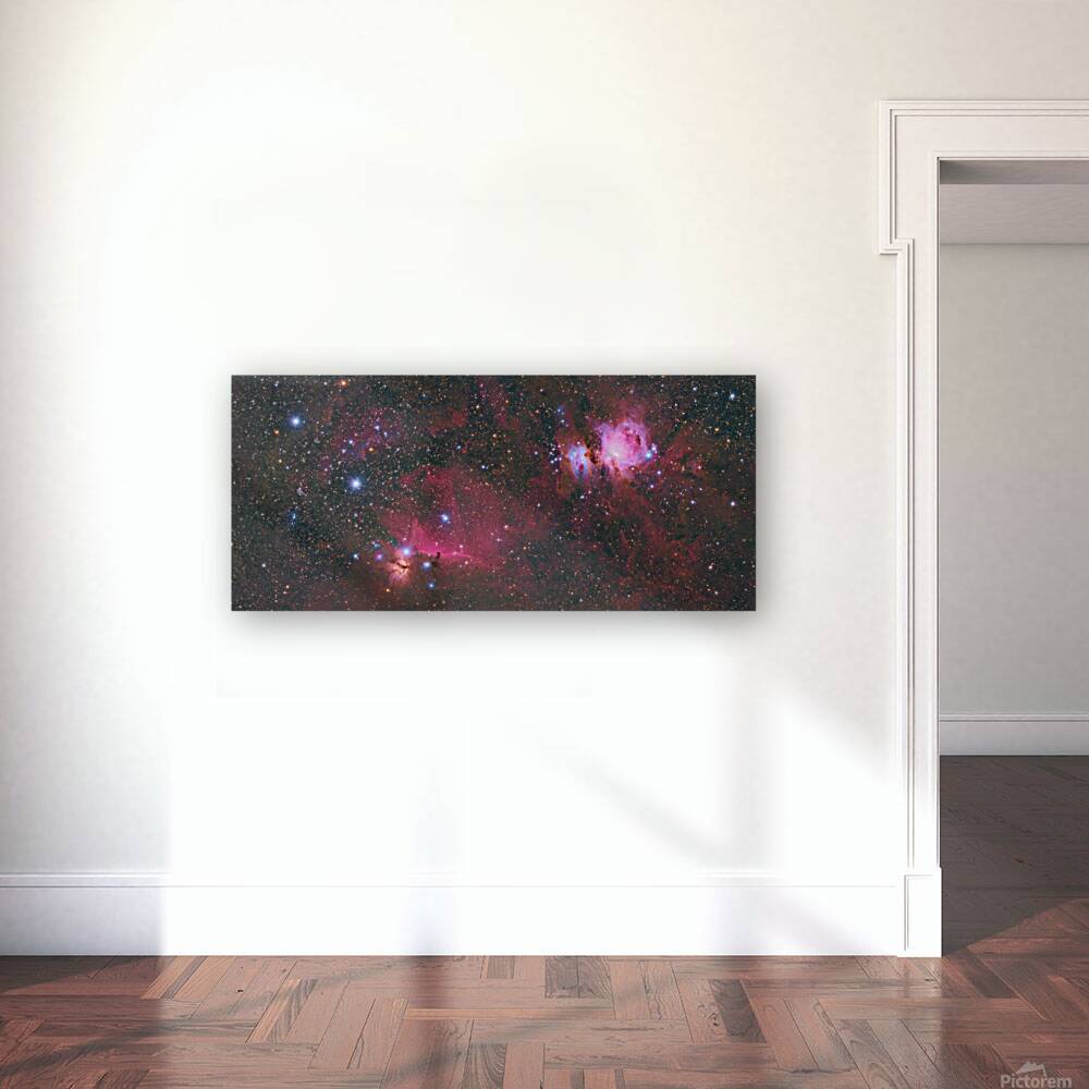 Orion Reproduction