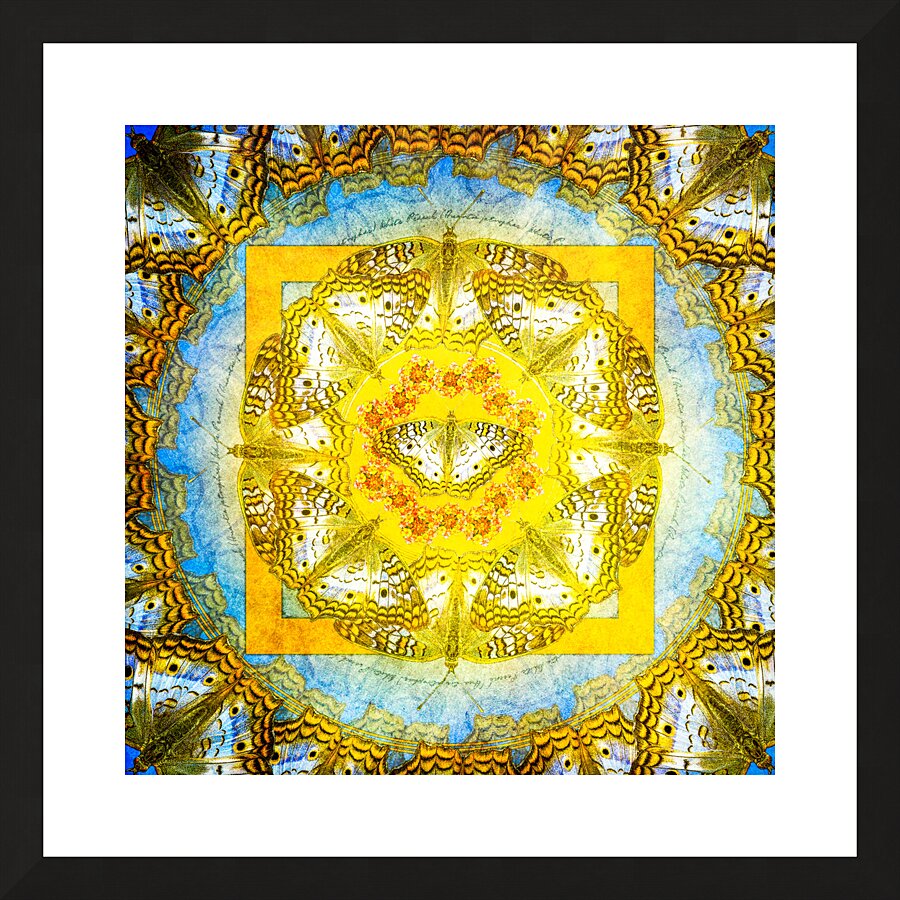 White Peacock Picture Frame print