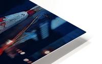 Koi_Jeff Covington HD Metal print