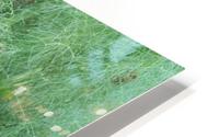Dill_JeffCovington HD Metal print