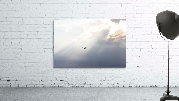 Light Rays_Jeff Covington Wall Preview
