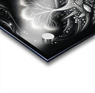 Clarity Acrylic print