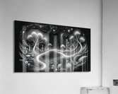 Clarity Acrylic Print