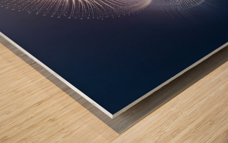 Sweeping Surveillance Wood print