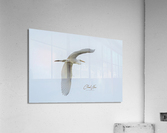NHTI 9 Acrylic Print