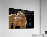 TTF Fall 2 Acrylic Print