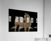 TTF Fall 3 Acrylic Print