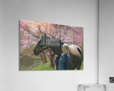 Benny 3 Acrylic Print