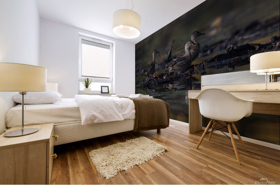 TLP 2019 Mural print