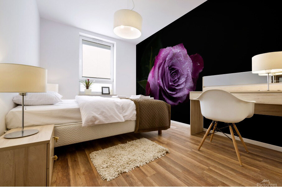 Purple Rose 7 Mural print