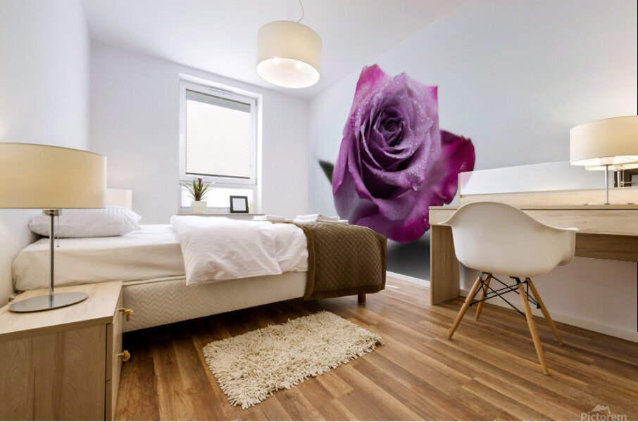 Purple Rose 9 Mural print