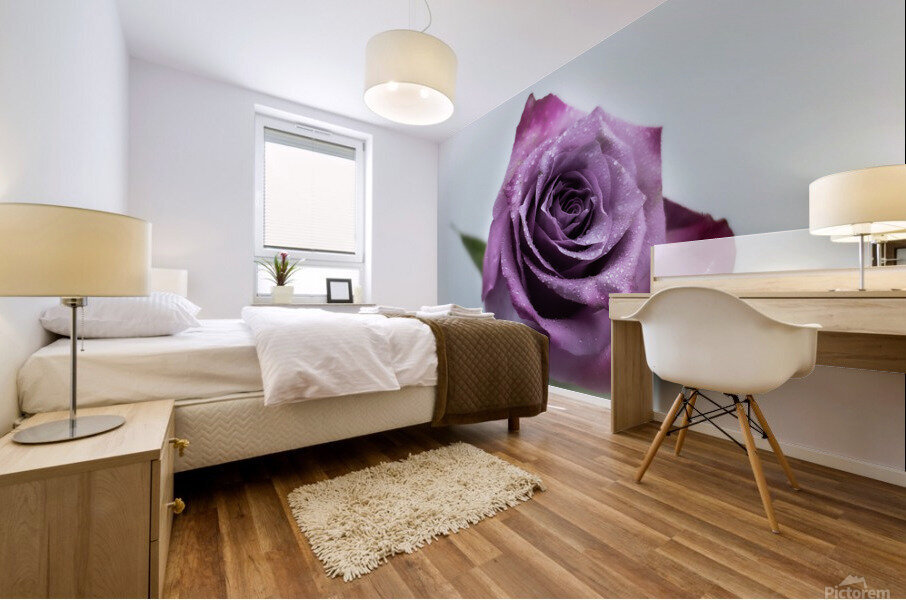 Purple Rose 1 Mural print