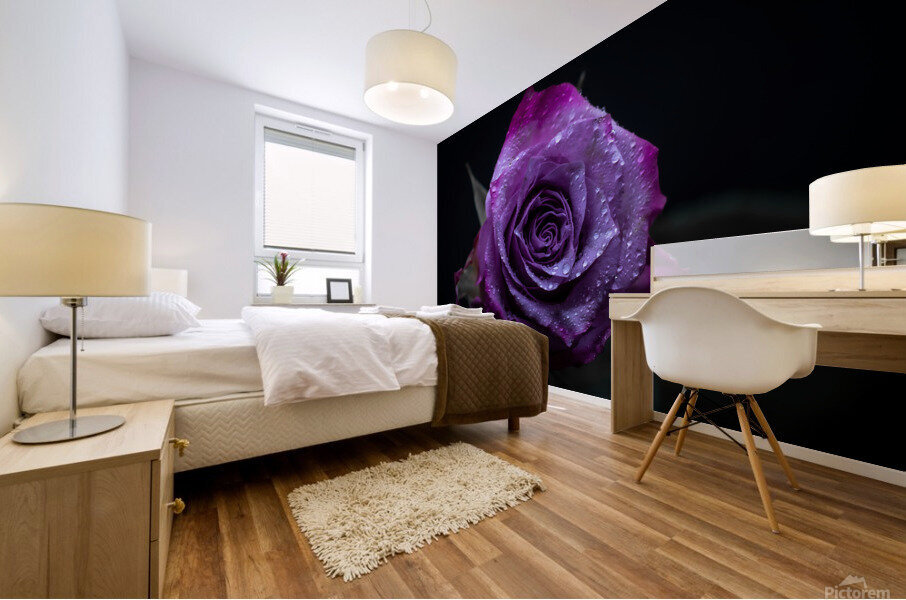 Purple Rose 3 Mural print