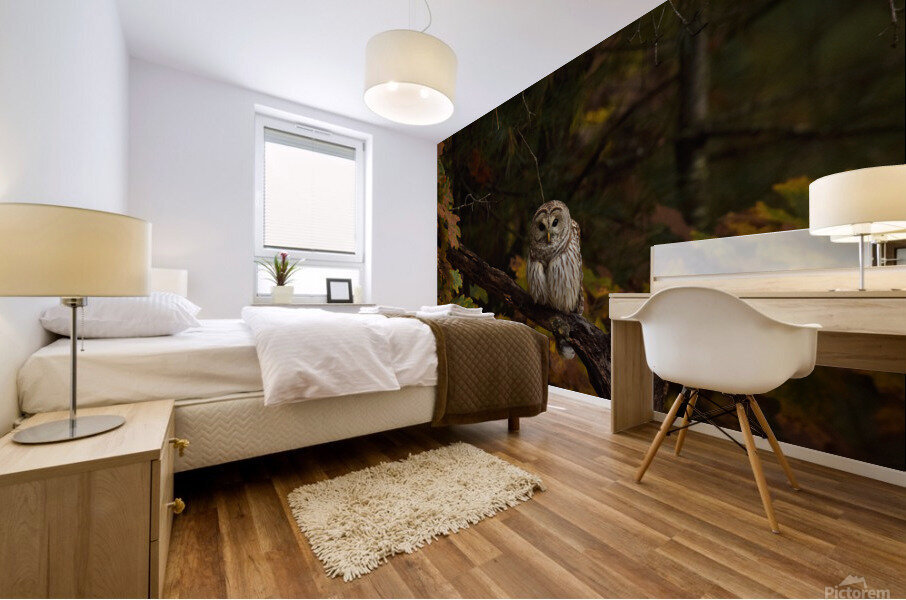 20221014  AAK3408 Mural print