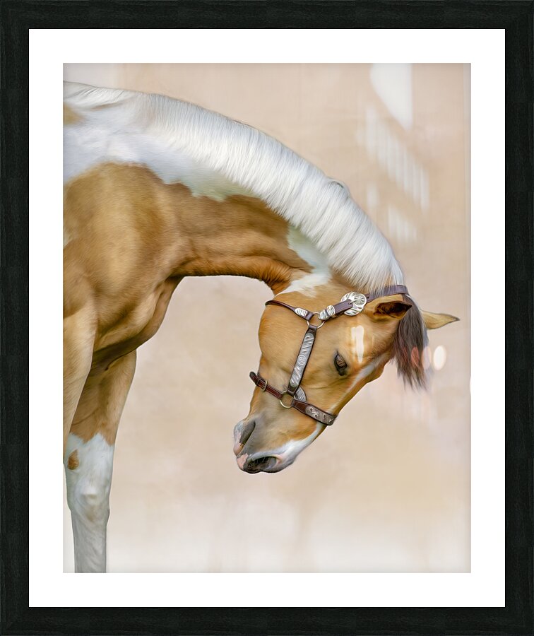 TLP 6702 Picture Frame print