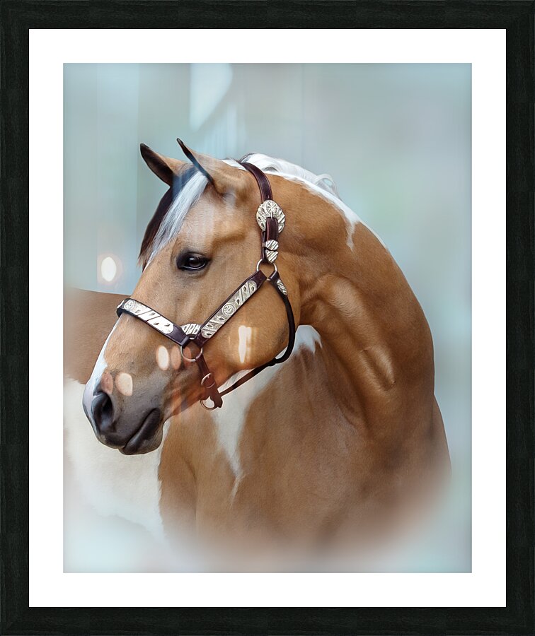 Untitled 1 4 Picture Frame print