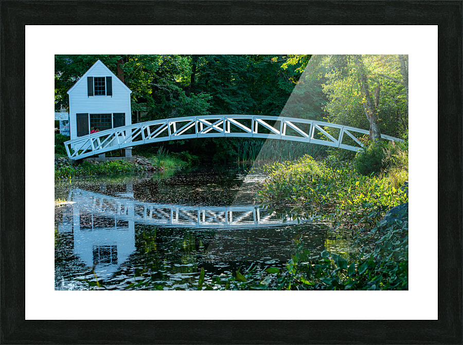 ANP Bridge Picture Frame print
