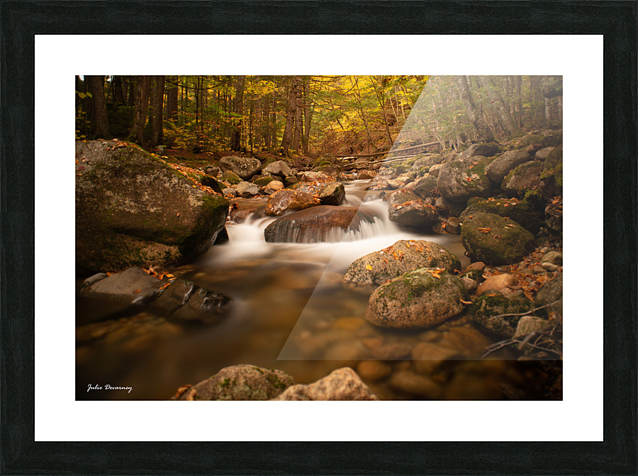 20211011 TLP 0458 Picture Frame print
