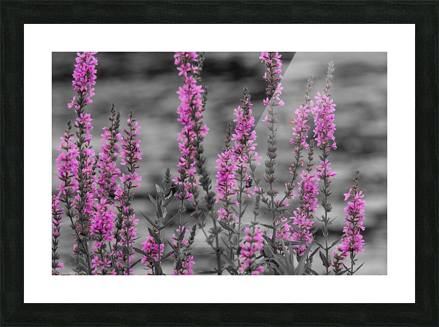 20210828  AAK0810 Picture Frame print